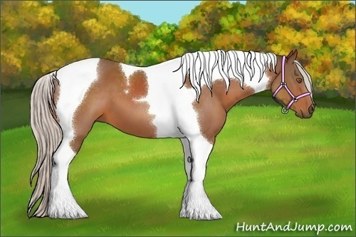 Horse Color:Silver Bay Tobiano
