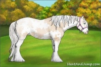 Horse Color:White Spotted Silver Buckskin Pearl Sabino