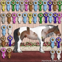 Horse Color:Brown Tobiano 