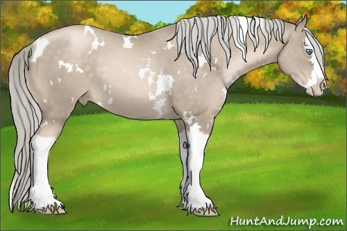 Horse Color:White Spotted Chocolate Palomino Pearl Splash