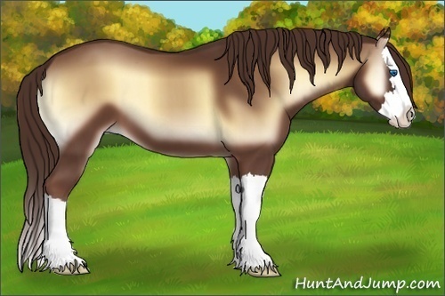 Horse Color:Red Onyx Sabino Splash 