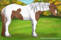 Horse Color:Chestnut Tobiano