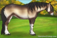 Horse Color:Liver Red Onyx Sabino
