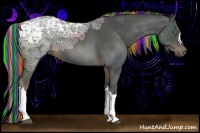Horse Color:Painted Liver Chestnut Ice