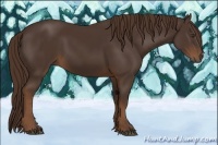 Horse Color:Liver Chestnut Sabino Rabicano 