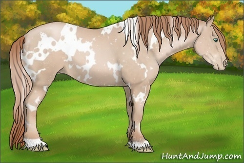 Horse Color:White Spotted Smoky Black Pearl 