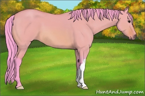 Horse Color:Watercolor Bay Dun