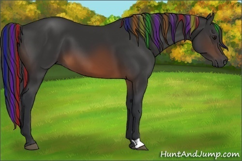 Horse Color:Painted Brown 