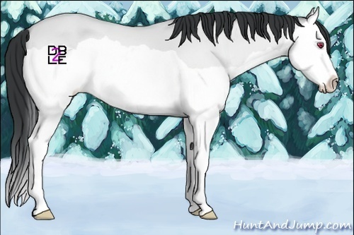 Horse Color:Amber Champagne Chinchilla Dun Splash 