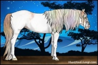 Horse Color:Nacre White Spotted Gold Champagne