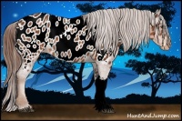 Horse Color:Chestnut Appaloosa 