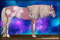 Horse Color:Watercolor Silver Black Ice 