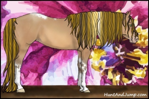 Horse Color:Painted Amber Champagne Tobiano Rabicano 