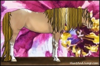 Horse Color:Painted Amber Champagne Tobiano Rabicano 