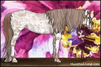 Horse Color:Chestnut Ice Splash Varnish Rabicano 