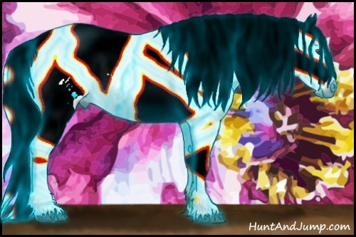 Horse Color:Gray Thunderstruck White Spotted Palomino Dun Appaloosa Rabicano 