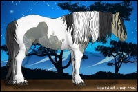 Horse Color:Grullo Ice Tobiano