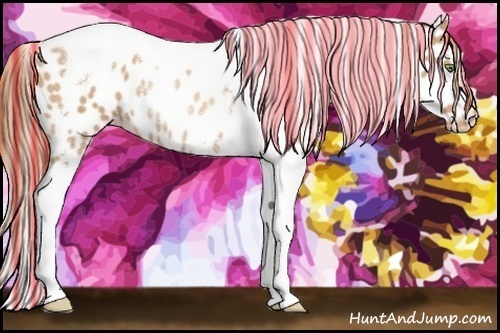 Horse Color:Painted Gold Champagne Tobiano Appaloosa Rabicano 