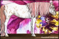 Horse Color:Painted Gold Champagne Tobiano Appaloosa Rabicano 