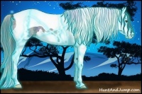 Horse Color:Nacre Thunderstruck Liver Red Ice Roan Splash Tobiano 