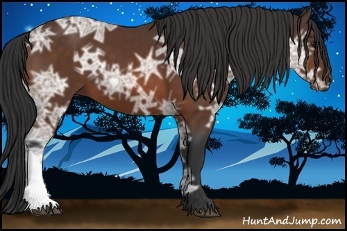Horse Color:Bay Ice