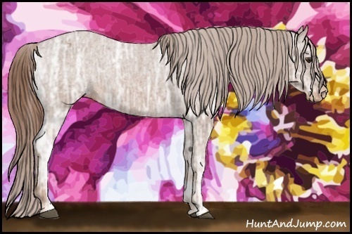 Horse Color:Chestnut Ice Sabino Appaloosa Rabicano 