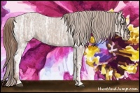 Horse Color:Chestnut Ice Sabino Appaloosa Rabicano 