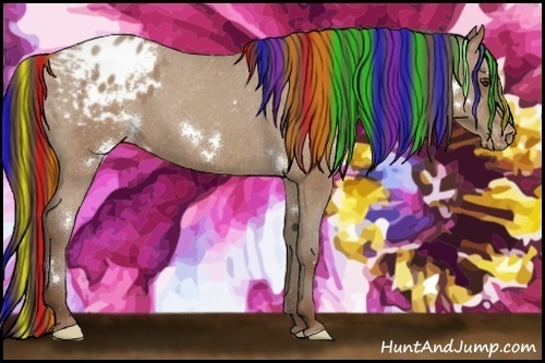 Horse Color:Painted White Spotted Classic Champagne Appaloosa Rabicano 