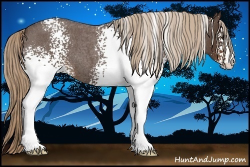 Horse Color:White Spotted Liver Red Roan