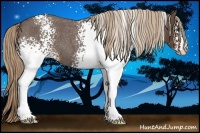 Horse Color:White Spotted Liver Red Roan 
