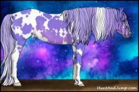 Horse Color:Watercolor White Spotted Chestnut 