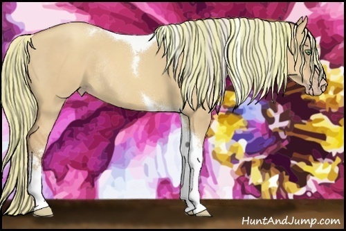 Horse Color:Painted Silver Classic Champagne Dun Tobiano Rabicano 