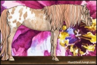 Horse Color:Painted White Spotted Gold Champagne Blanket Rabicano