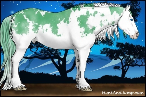 Horse Color:Watercolor White Spotted Black Splash