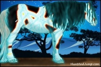 Horse Color:Thunderstruck White Spotted Amber Cream Champagne Dun Appaloosa Rabicano