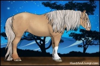 Horse Color:Silver Classic Champagne