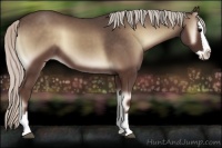 Horse Color:Silver Blue Onyx Splash 