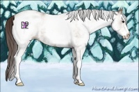 Horse Color:White Spotted Classic Champagne 
