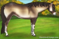 Horse Color:Liver Red Onyx 