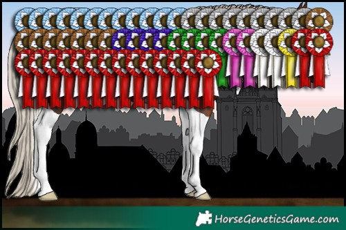 Horse Color:Gray Silver Bay Sabino Tobiano 