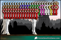 Horse Color:Gray Silver Bay Sabino Tobiano 