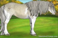 Horse Color:Chocolate Palomino Roan Splash