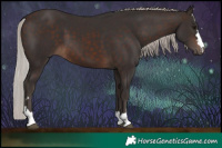 Horse Color:Silver Brown 