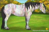 Horse Color:Buckskin Ice 