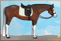 Horse Color:Brown Splash