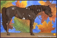 Horse Color:White Spotted Liver Chestnut 
