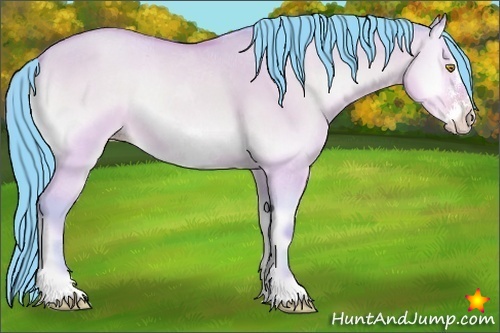 Horse Color:Watercolor Amber Champagne Onyx Sabino Frame 