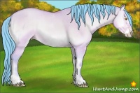 Horse Color:Watercolor Amber Champagne Onyx Sabino Frame 