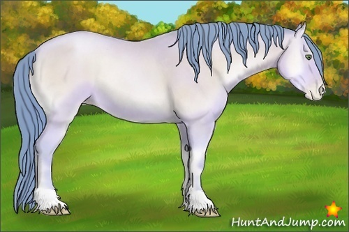 Horse Color:Watercolor Amber Champagne Pearl Onyx