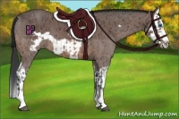 Horse Color:Bay Ice Splash Frame and Bay Ice Splash Frame